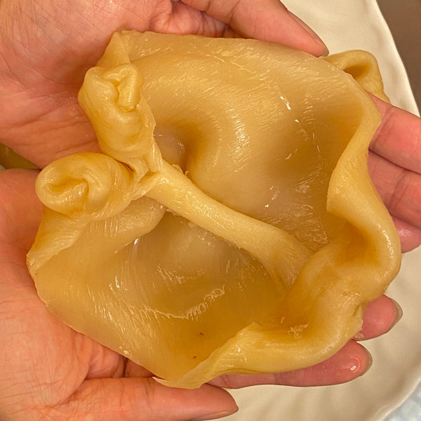已浸發 西非清水花膠片 (鴨泡肚) 中 Size (1包4件)